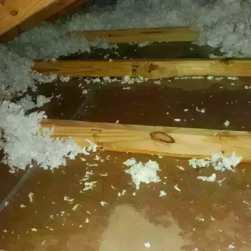 Attic Water Damage in Wright, FL