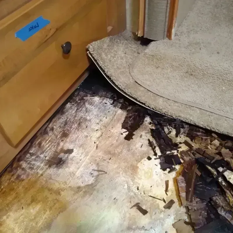 Best Wood Floor Water Damage Service in Wright, FL